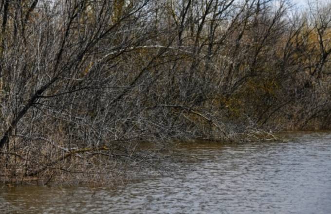 В реке на севере Волгограда найдено тело мужчины без головы
